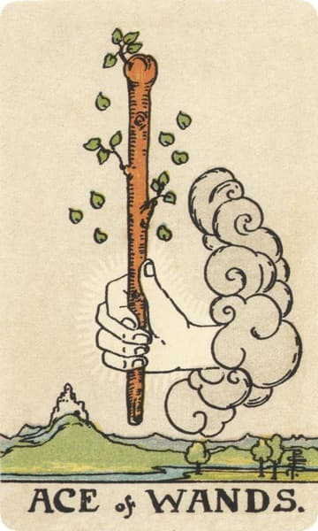 权杖王牌